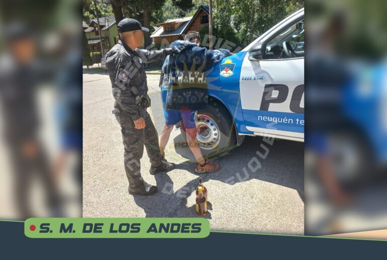 Detienen a joven que robó botellas de whisky en un mercado