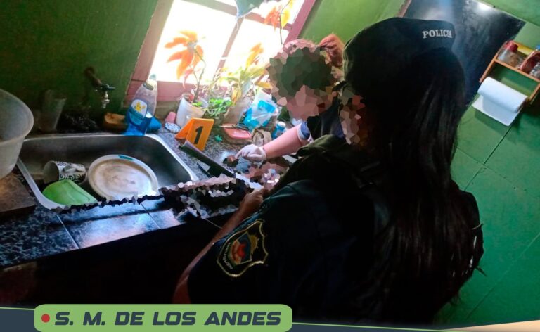 Tras amenazas a su ex pareja realizan allanamientos positivos en el paraje Trabunco