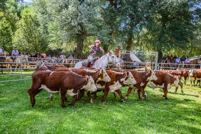 Se viene una nueva Expo Rural de Neuquén en Junín de los Andes