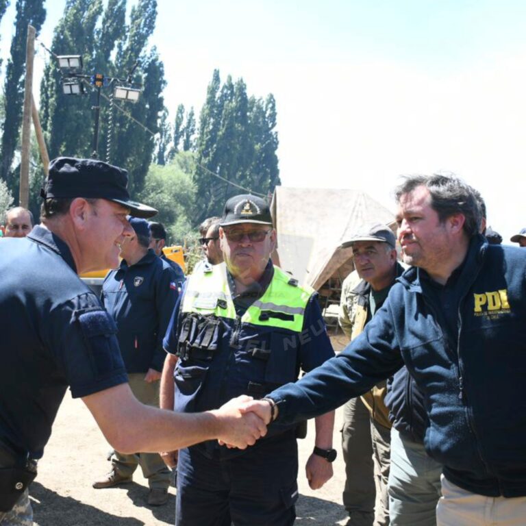 Voluntarios: Policías neuquinos se suman al combate del incendio en el Parque Nacional Lanín