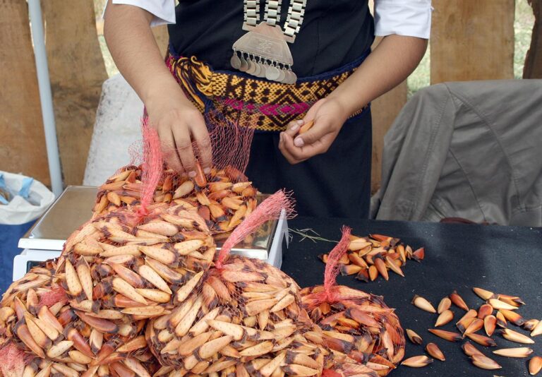 Llega una nueva edición de la Fiesta del Piñon en Caviahue