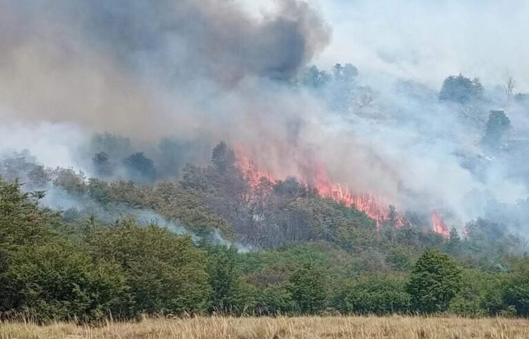 Emiten alerta por fuertes vientos en la zona cordillerana para este lunes