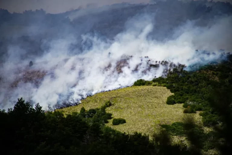 Refuerzan operativo para combatir el incendio en Valle Magdalena