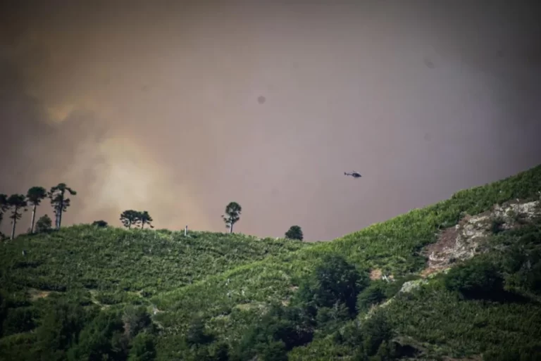 Más de 100 brigadistas trabajan en el incendio