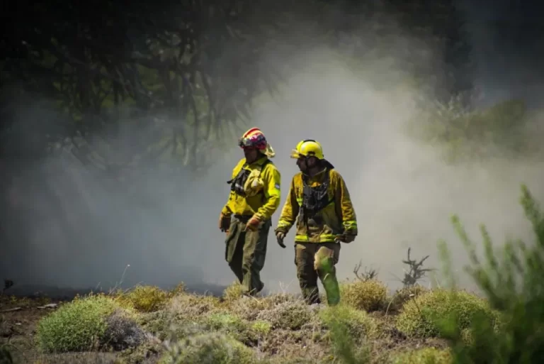 Federación de Bomberos desmintió pedido de ayuda para los incendios forestales
