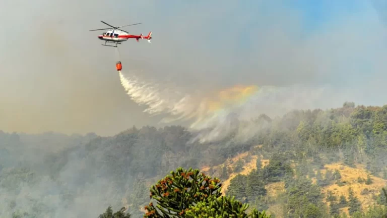 Valle Magdalena: el incendio se mantiene activo y arrasó con 15.000 hectáreas