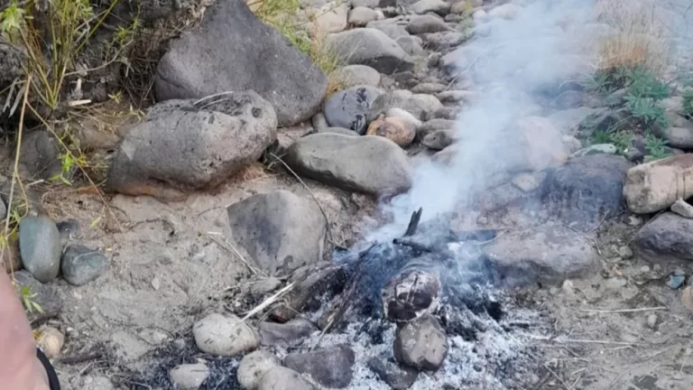 Inconsciencia: Fauna extinguió 132 fogones por la imprudencia de acampantes