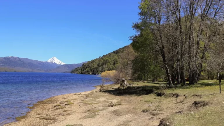 Por la emergencia ígnea se suspende la actividad de caza en Aluminé