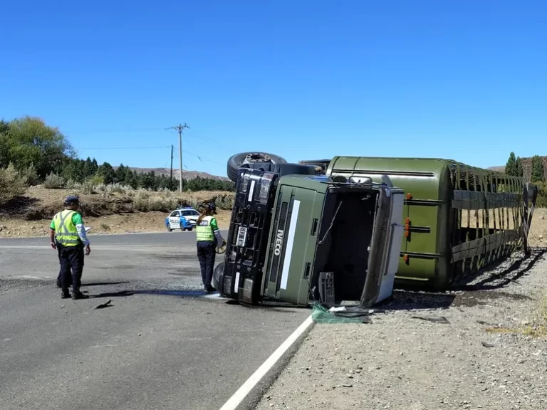 Junín de los Andes: dos heridos en vuelco de camión del Ejército que transportaba Mulas