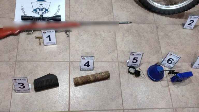 Secuestran un arma por caza furtiva en Junín de los Andes