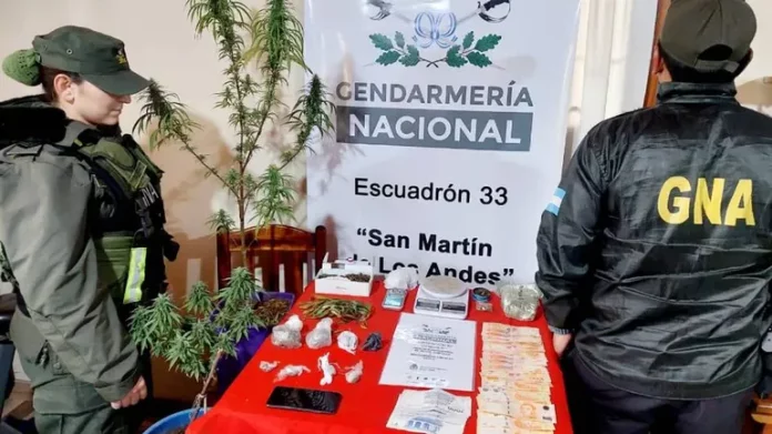 San Martín de los Andes: desbarataron un kiosco narco y secuestraron 12 kilos de marihuana tras operativo de Gendarmería