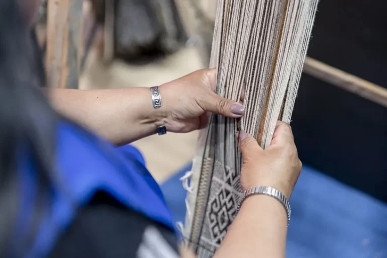 Feria de Artesanos y Productores de la comunidad mapuche Linares