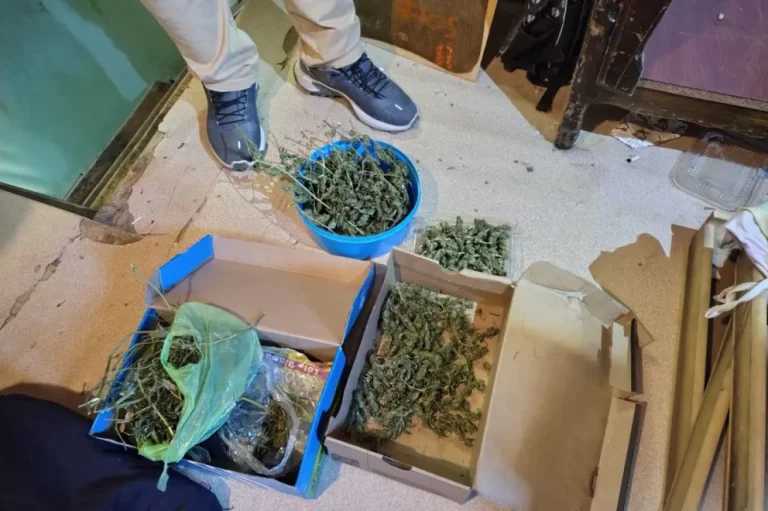 Otro golpe al microtráfico: secuestran drogas y un arma en Senillosa