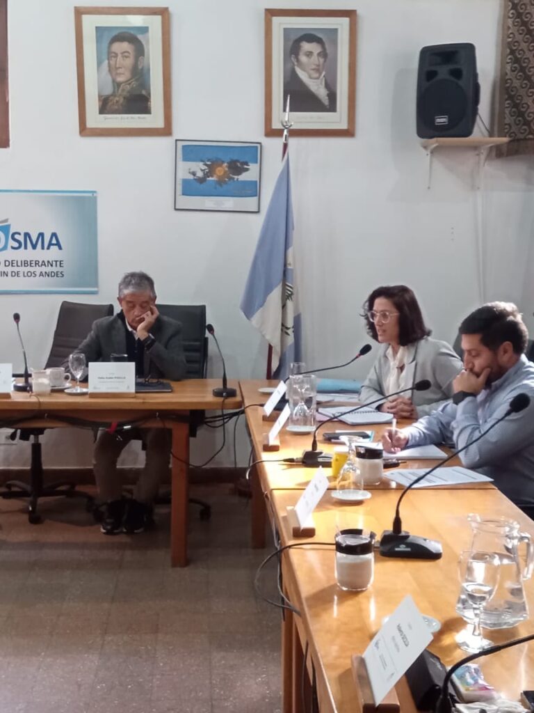 San Martín de los Andes adhirió a la Ley Provincial n° 3498 «Ficha Limpia»
