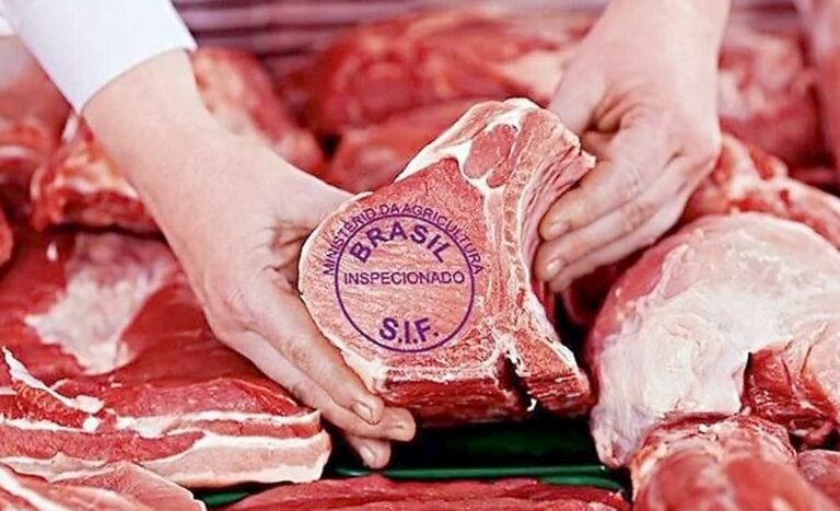 Argentina ya importa 1.200 toneladas mensuales de carne vacuna brasileña