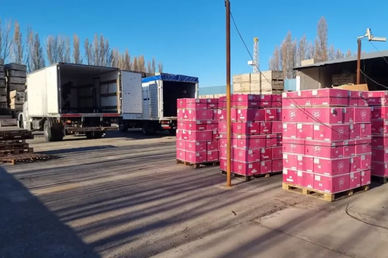 La fruta de productores locales llega a las escuelas de la provincia