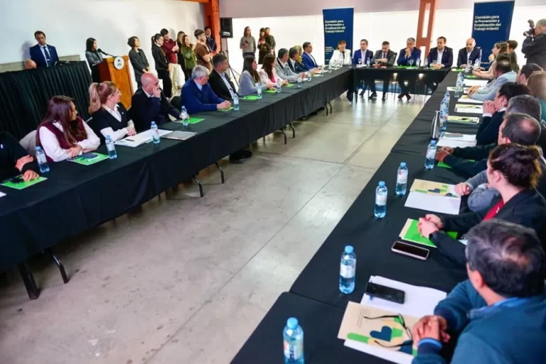 Los tres poderes del Estado trabajan conjuntamente para erradicar el trabajo infantil