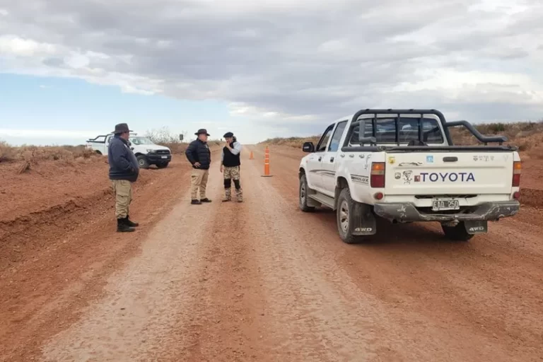 Secuestraron armas y varios ejemplares de fauna silvestre