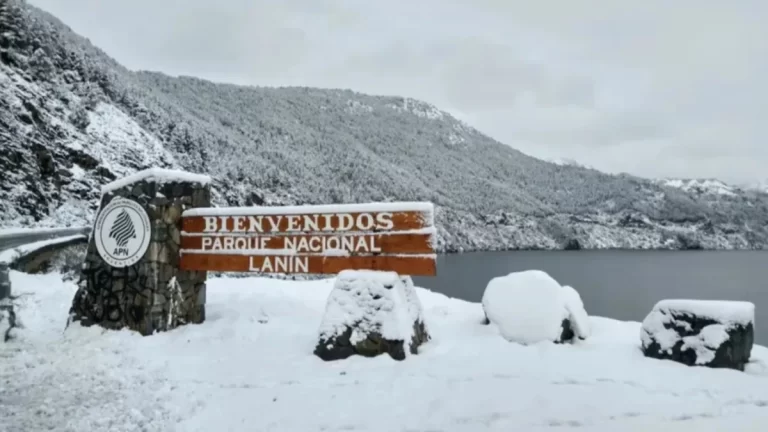 Alerta amarilla por nevadas y viento en el Parque Nacional Lanín