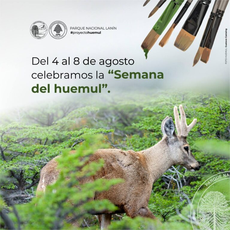 Celebramos al huemul desde el arte