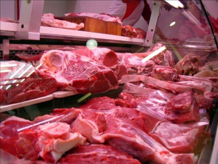 Senasa autorizó el ingreso de carne con hueso a la Patagonia desde otras zonas del país
