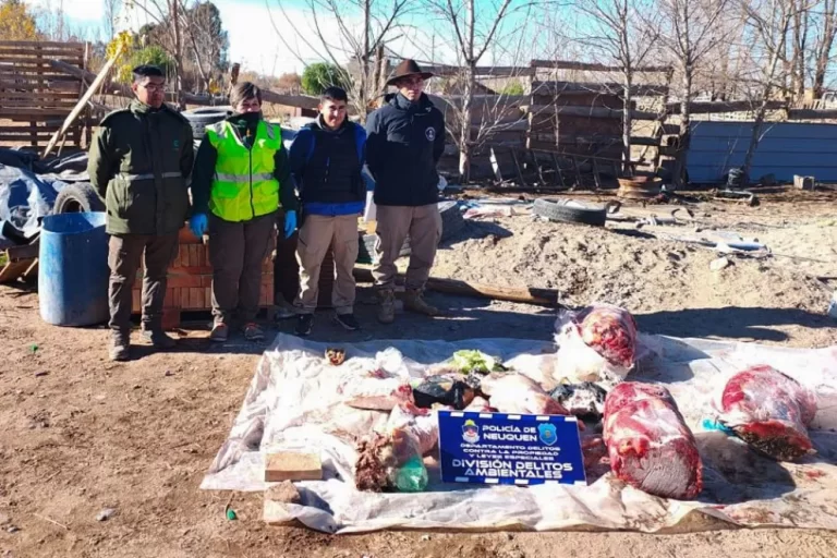 Desmantelaron un matadero clandestino que faenaba caballos