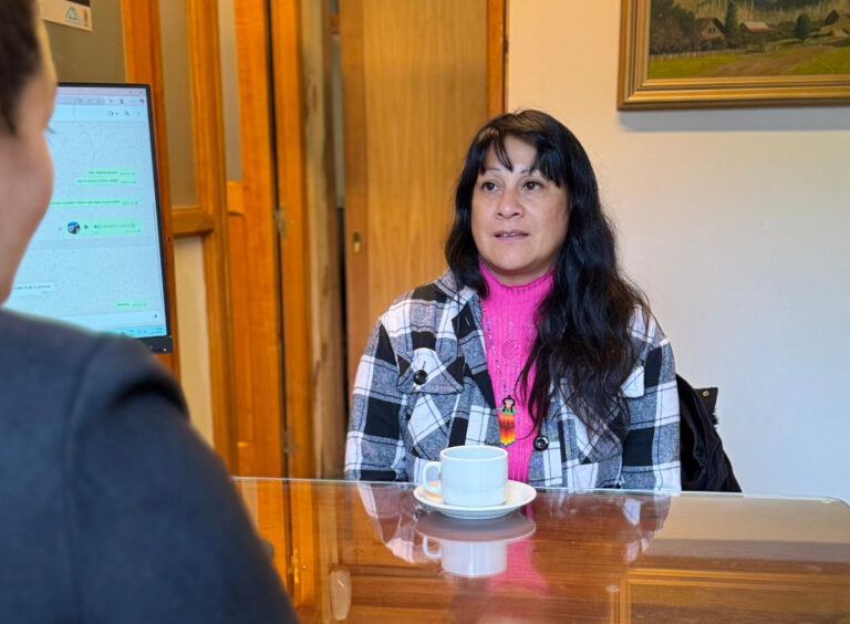 Municipio y Provincia planifican el relevamiento territorial en Payla Menuko y Newen Antug