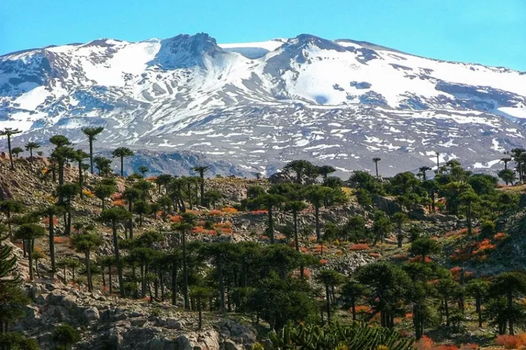 Neuquén despliega todo su potencial turístico en vacaciones de invierno