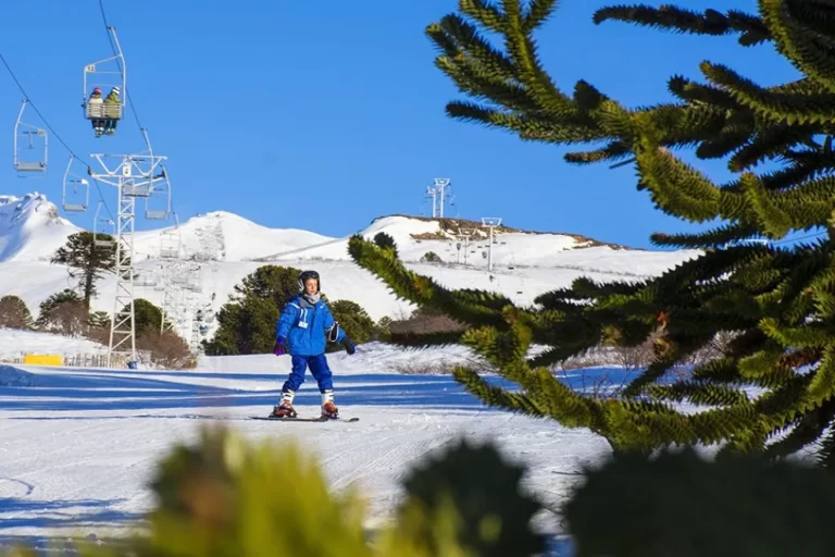 Relevamiento de turistas en destinos de invierno