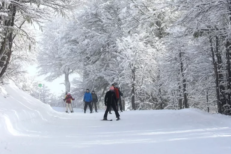 Una gran nevada llegó a Chapelco y se esperan más en los próximos días